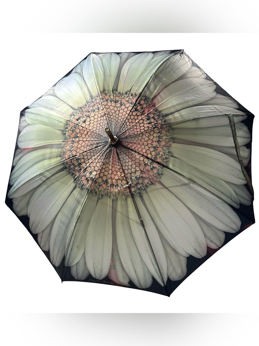Harold Feinstein Umbrella White Daisy Floral Cane Auto Open Signature HF1410